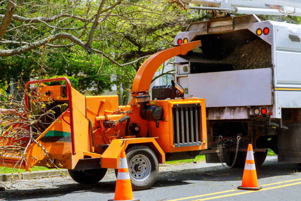 Mulching Services in Woodville, WI