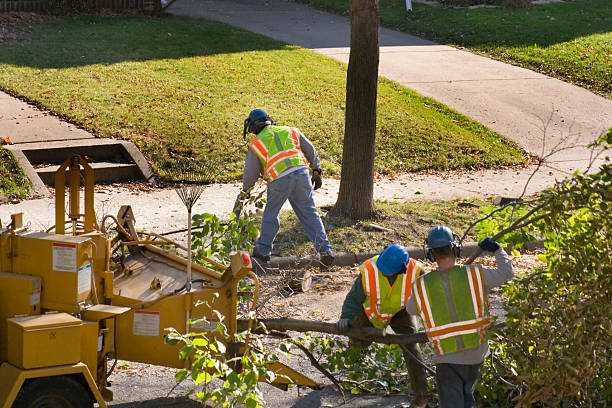 Lawn Pest Prevention in Woodville, WI